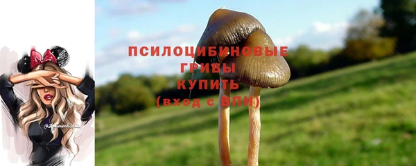 амф Богданович